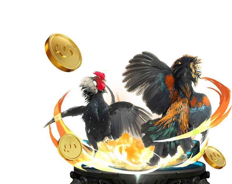 Quy trình đăng ký tài khoản đá gà bên thomo